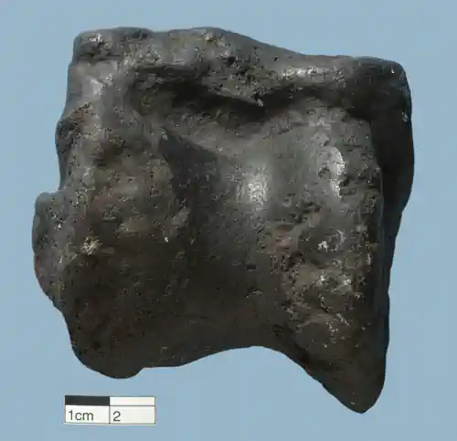 Bone Black raw sample from a fossil hippo charred Astragalus bone.